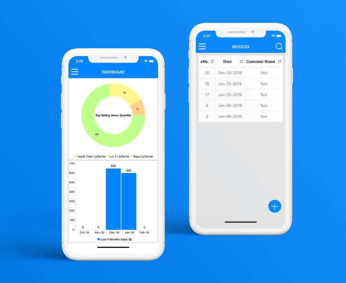 Mini Mobile ERPA App