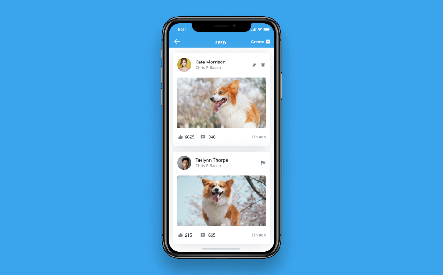 Pet Health Care App