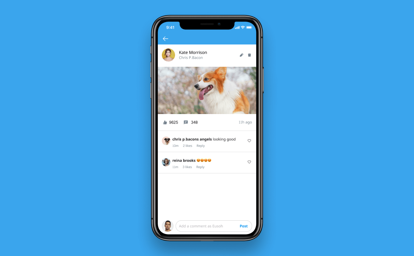 Pet Health Care Development